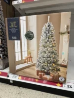 597368013_1387161452778532_3760311814898529310_n-510×680-1-1.webp